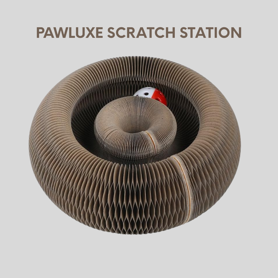 PawLuxe Scratch Station